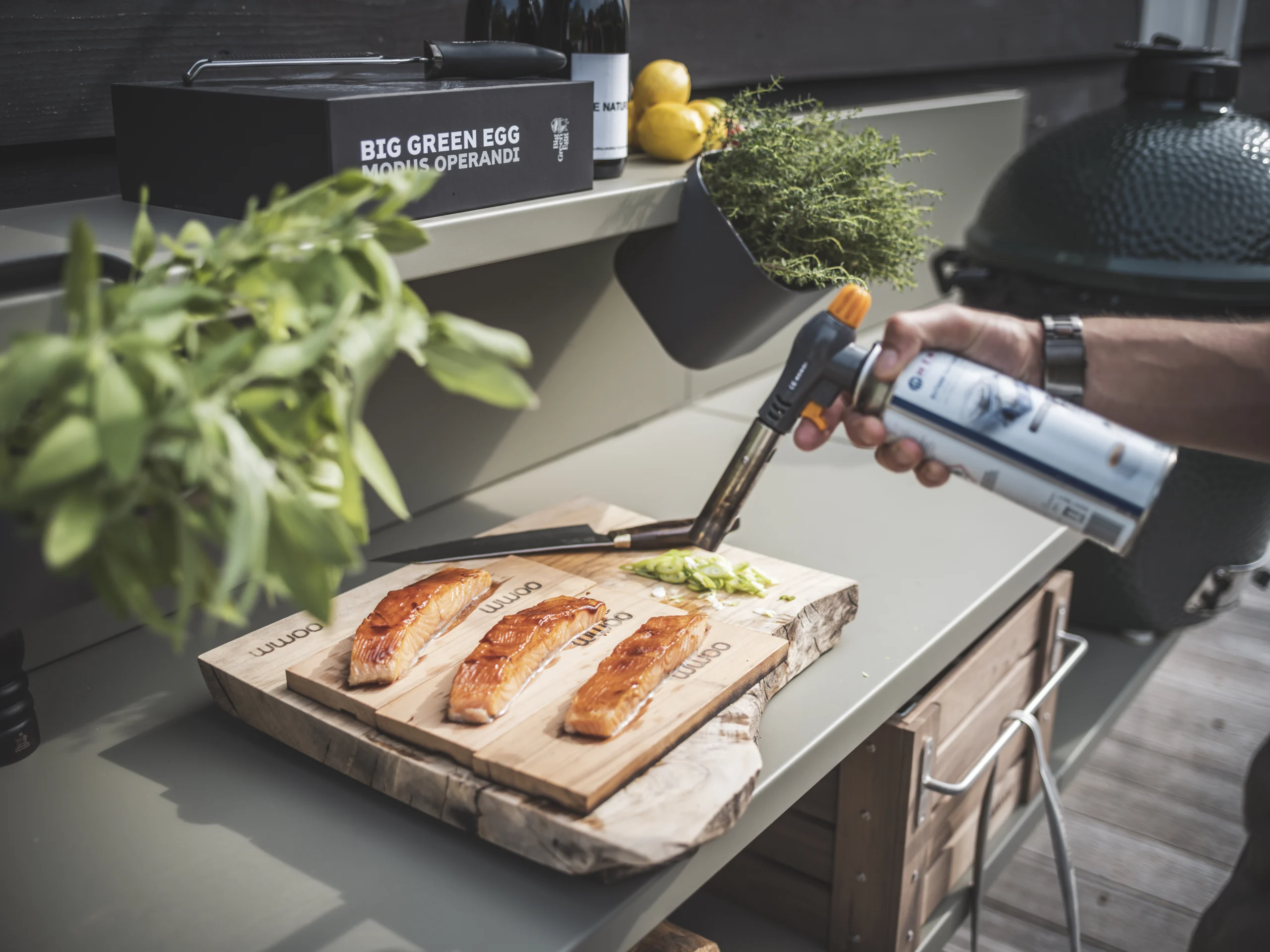 _PBF8617 WWOO Salmon Board