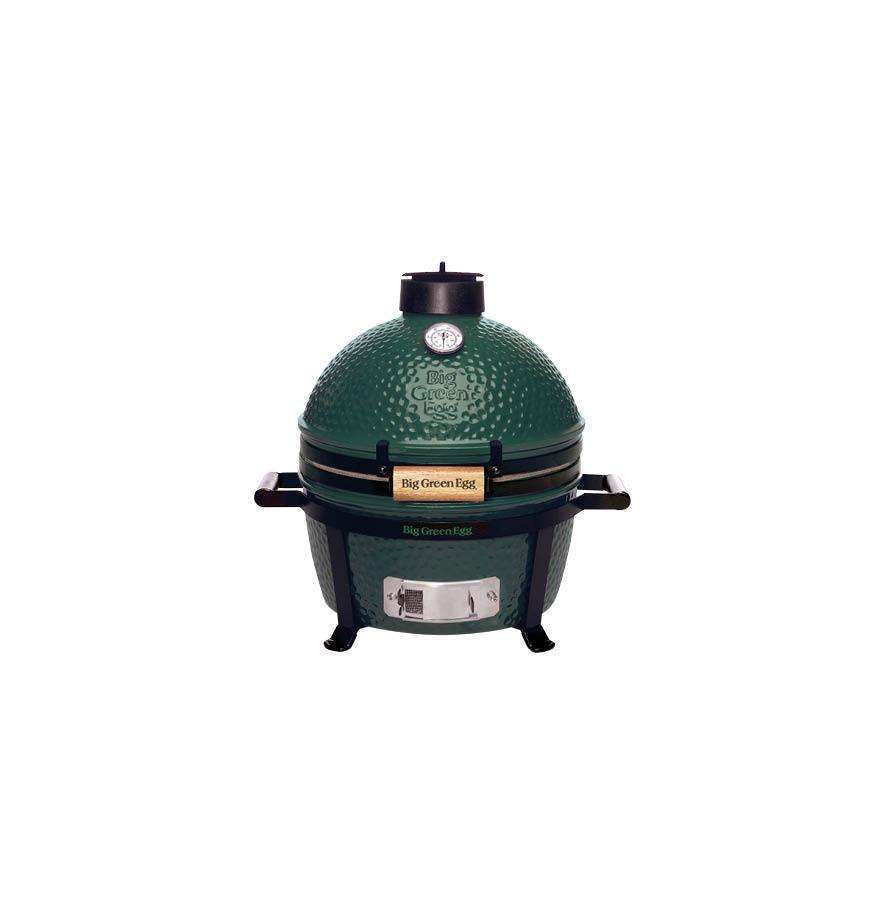 Big_green_egg_minimax_incl_carrier