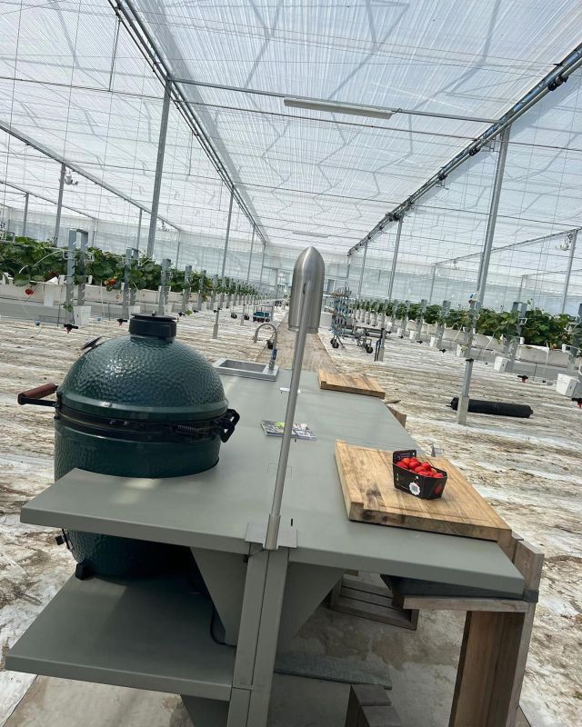 WWOO Steel Island @bybroersen 🍓 Cabriotour 2023 ✨ @restaurantmerlet 
#cabriotour #noordholland